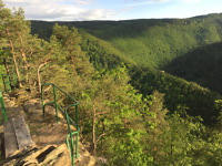 Griesbachfelsen